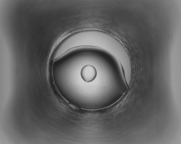 X0000113050248200909171547