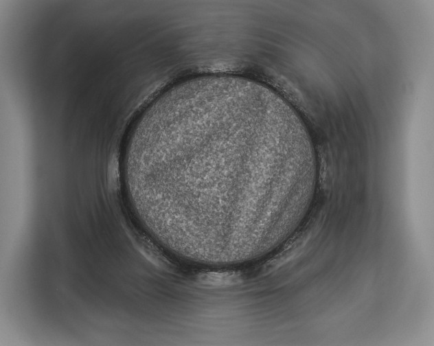 X0000113050251200909171547