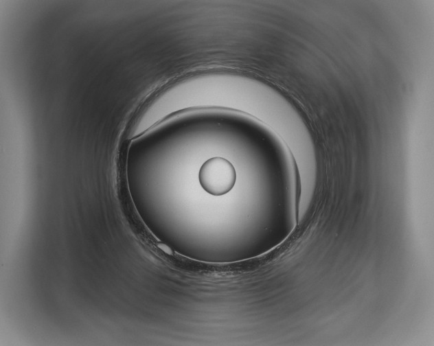 X0000113050252200909171547