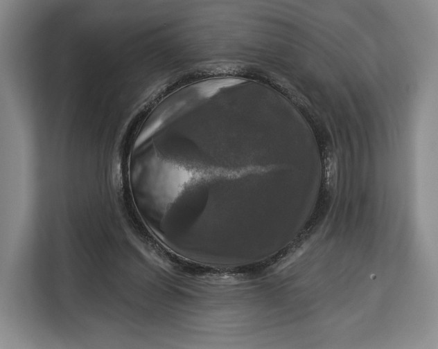 X0000113050254200909171547