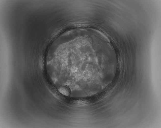 X0000113050255200909171547