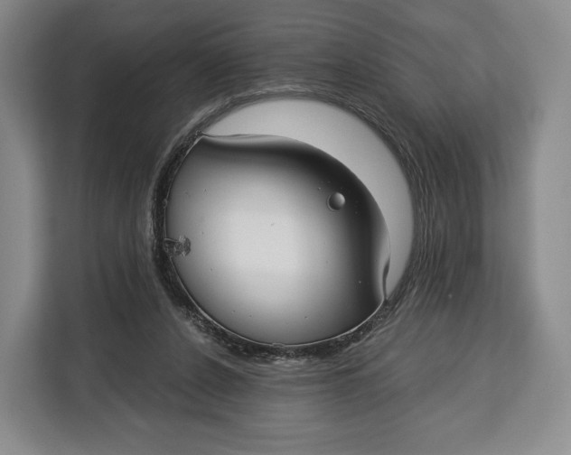 X0000113050256200909171547