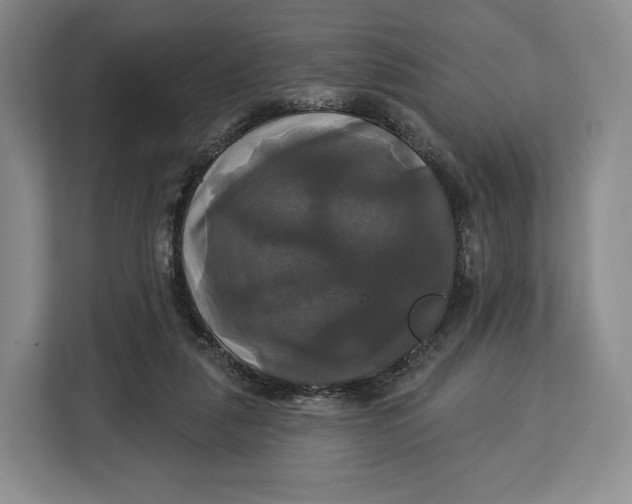 X0000113050259200909171547