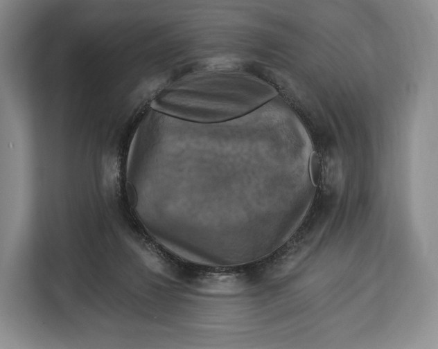 X0000113050260200909171547