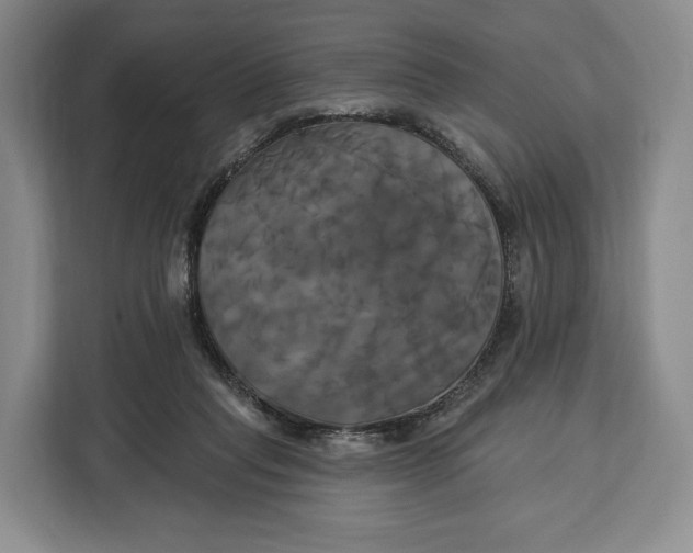 X0000113050261200909171547