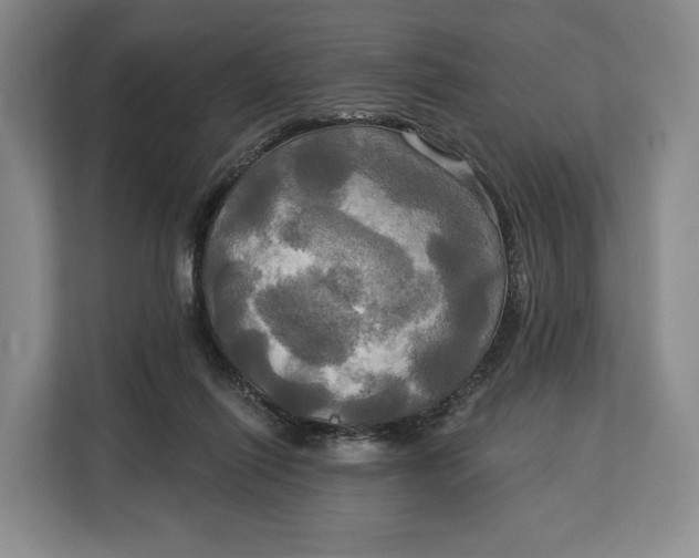 X0000113050262200909171547