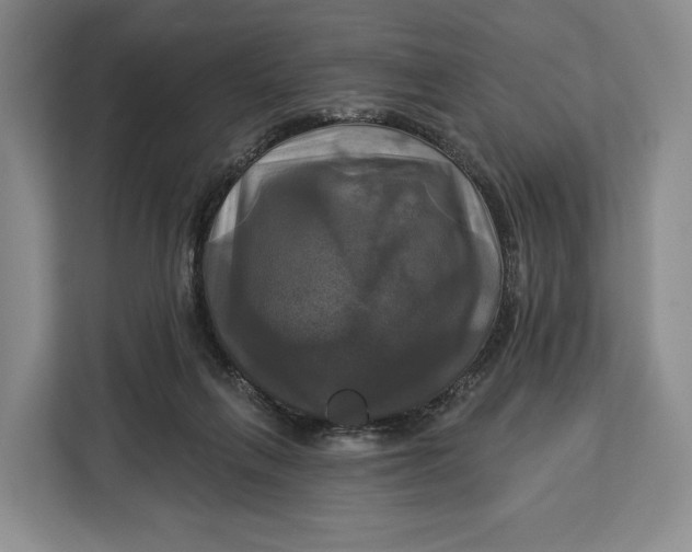 X0000113050263200909171547