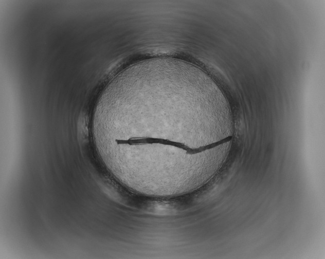 X0000113050264200909171547