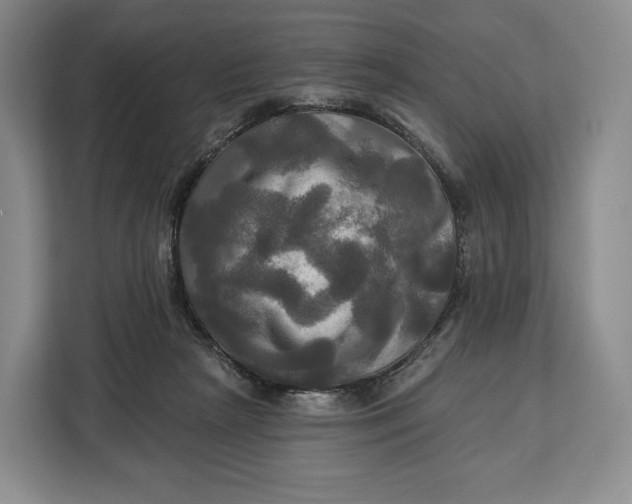 X0000113050265200909171547