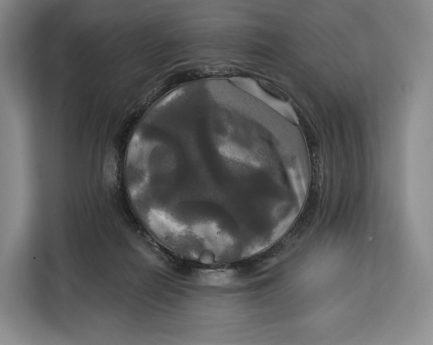 X0000113050266200909171547