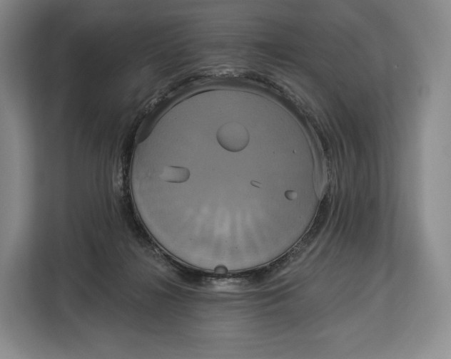 X0000113050268200909171547