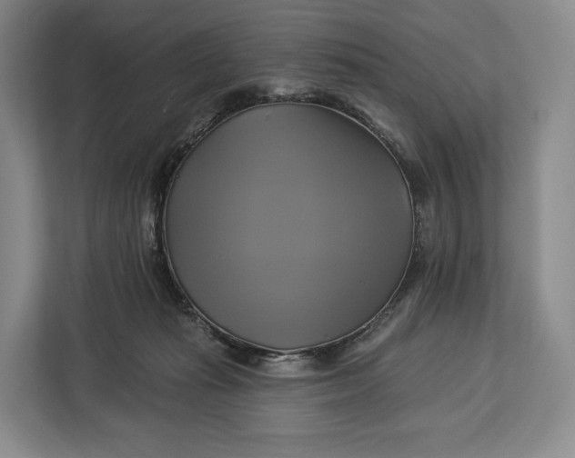 X0000113050269200909171547