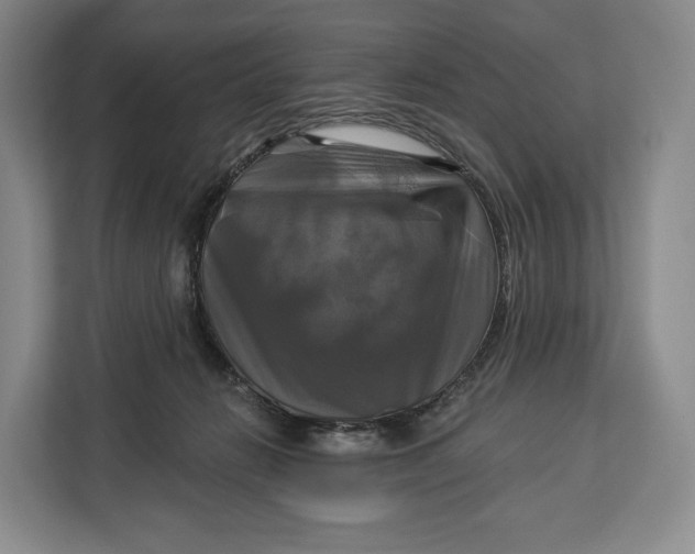 X0000113050270200909171547