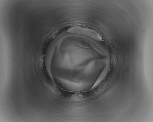 X0000113050271200909171547