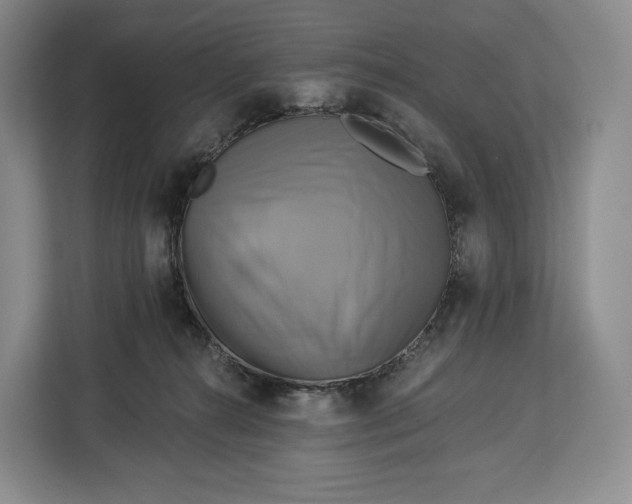 X0000113050272200909171547