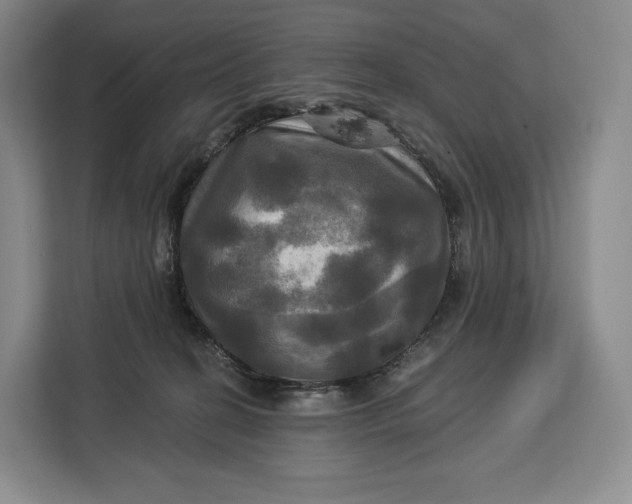 X0000113050274200909171547