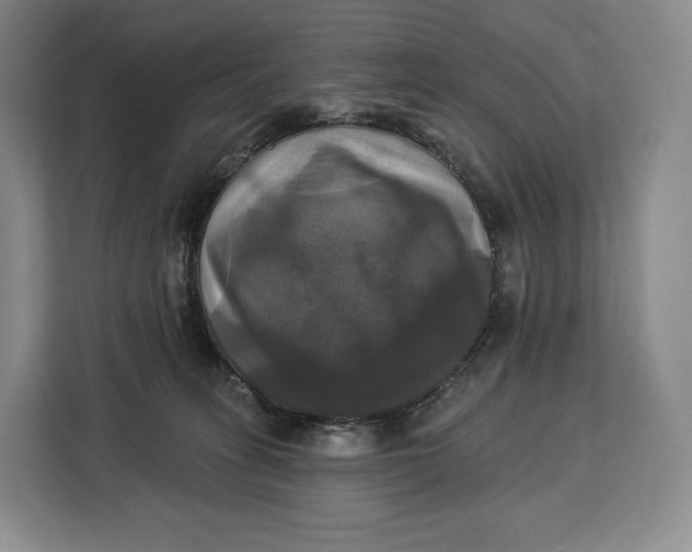 X0000113050275200909171547