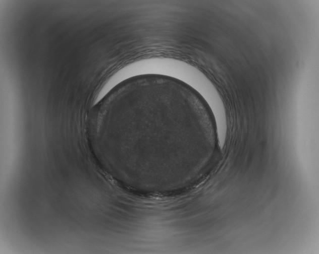 X0000113050276200909171547