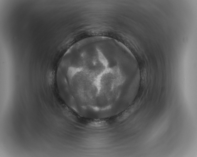 X0000113050278200909171547