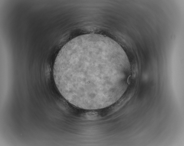 X0000113050279200909171547