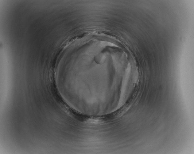 X0000113050280200909171547