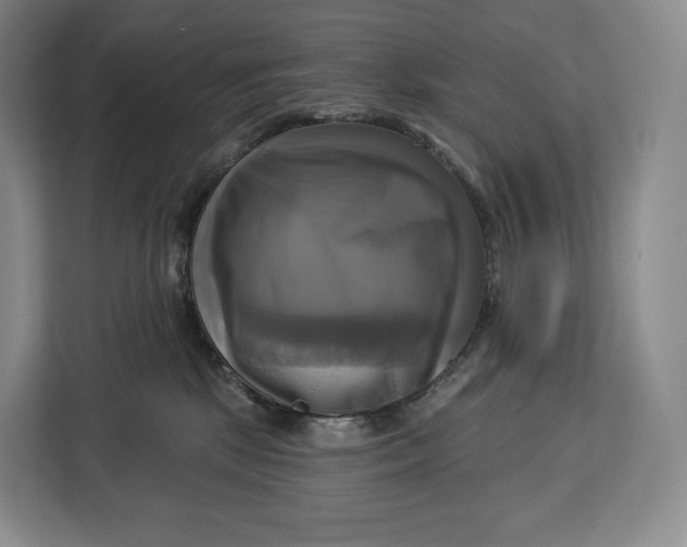 X0000113050281200909171547