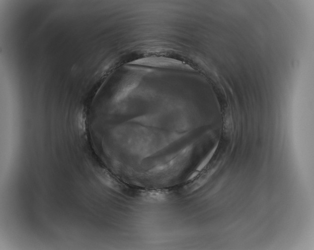 X0000113050282200909171547