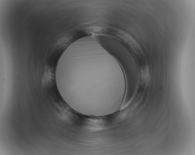 X0000113050284200909171547