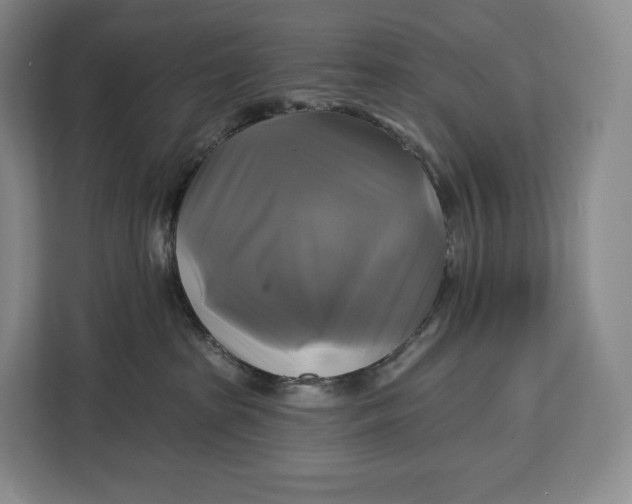 X0000113050285200909171547