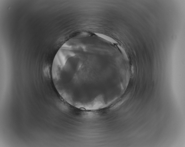 X0000113050286200909171547