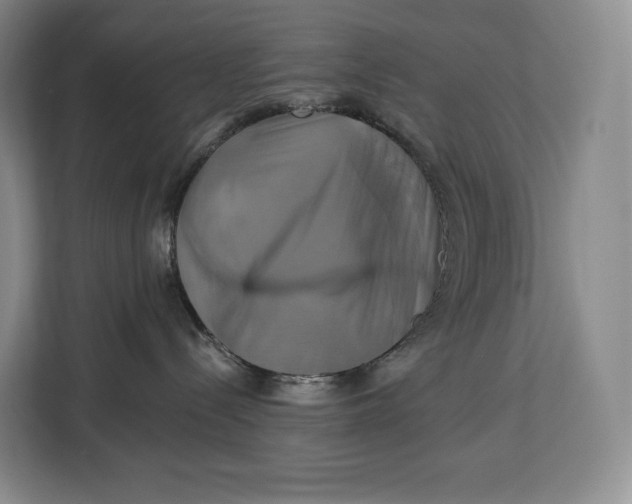 X0000113050288200909171547