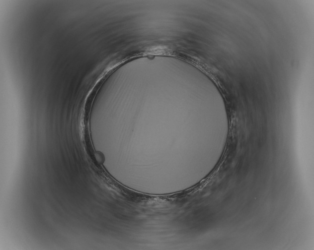 X0000113050290200909171546