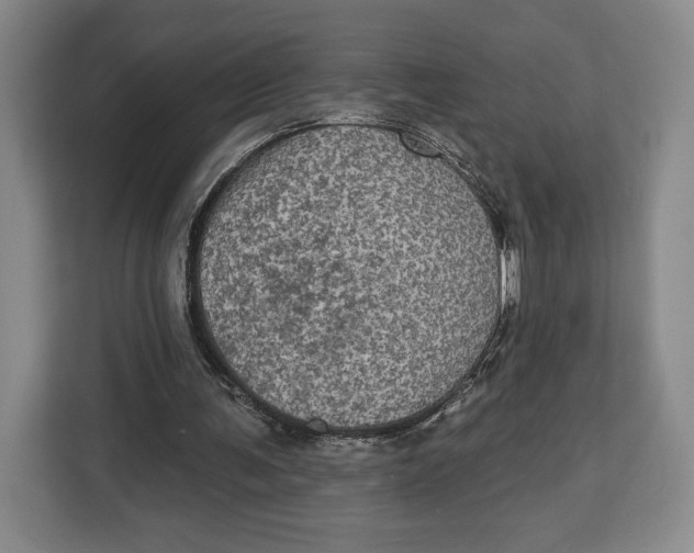 X0000113050291200909171546