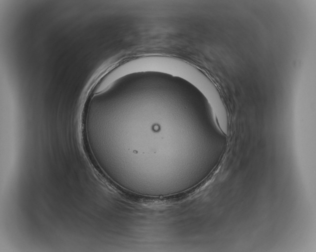 X0000113050293200909171546