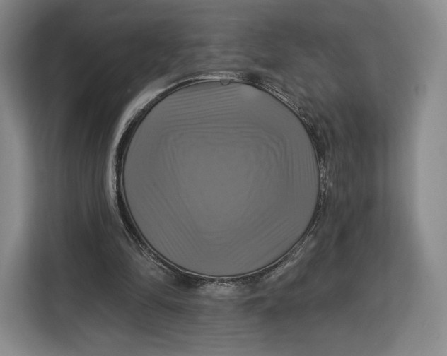 X0000113050294200909171546