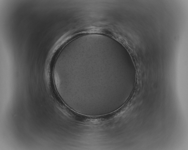 X0000113050295200909171546