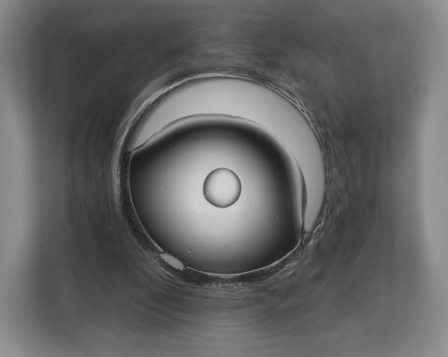 X0000113050296200909171546