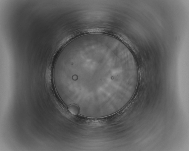 X0000113050297200909171546