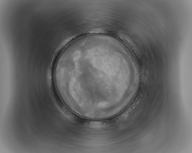 X0000113050298200909171546