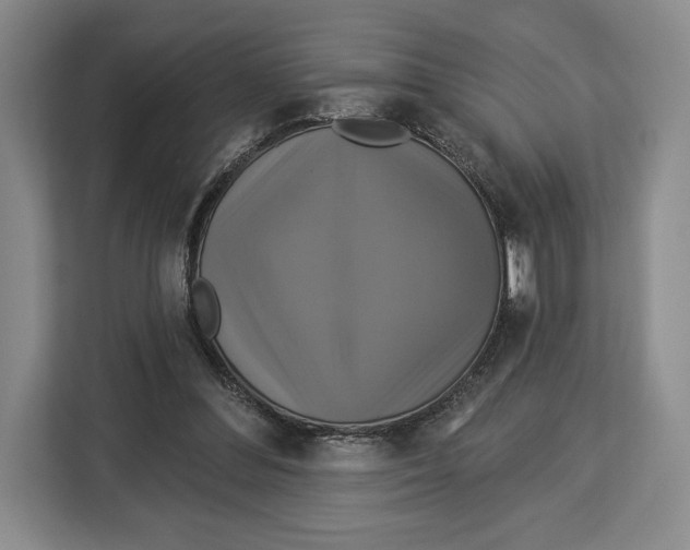 X0000113050300200909171546