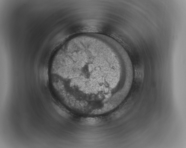 X0000113050302200909171546