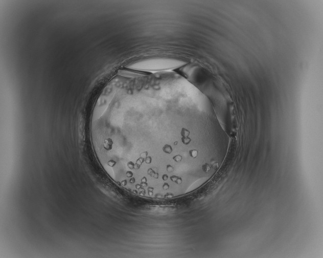 X0000113050303200909171546