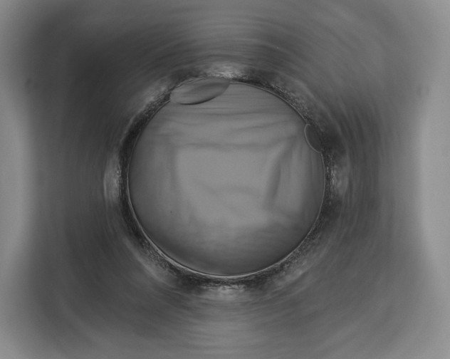 X0000113050304200909171546