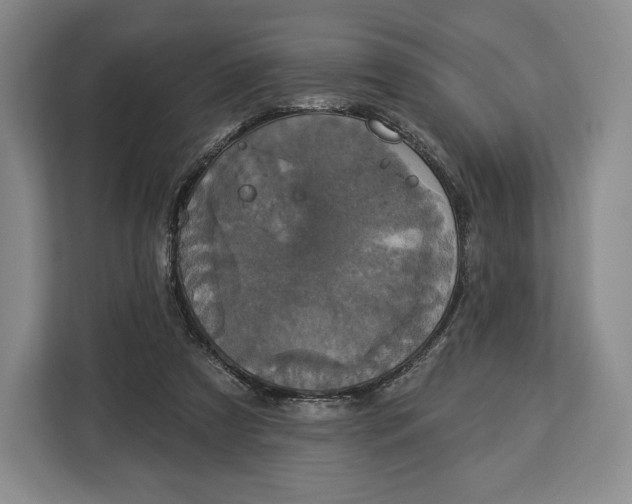 X0000113050305200909171546