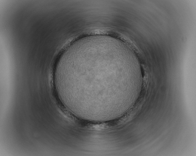 X0000113050306200909171546