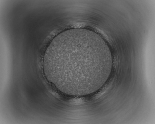 X0000113050307200909171546