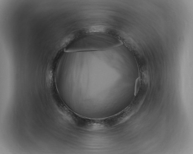 X0000113050308200909171546