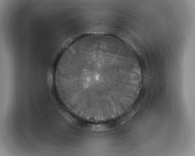 X0000113050309200909171546