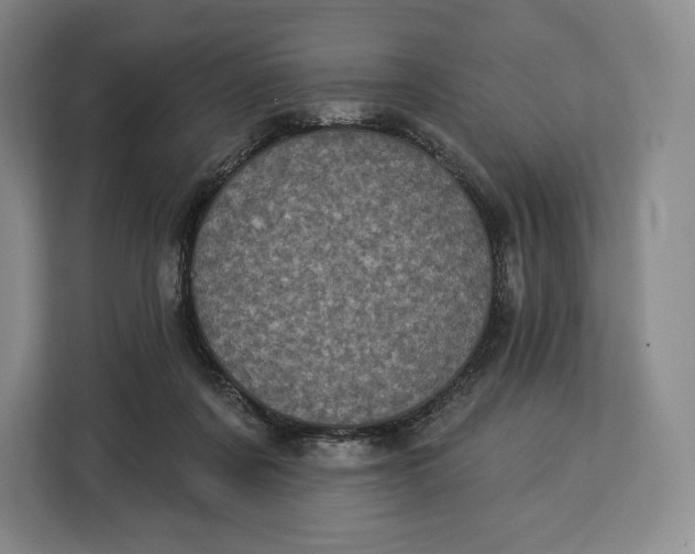 X0000113050311200909171546