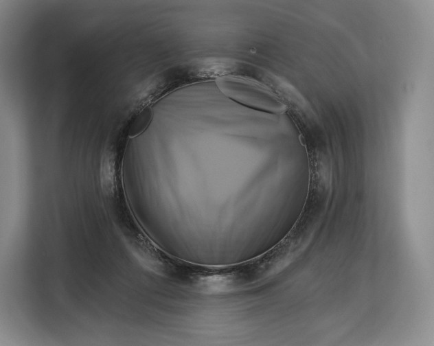 X0000113050312200909171546